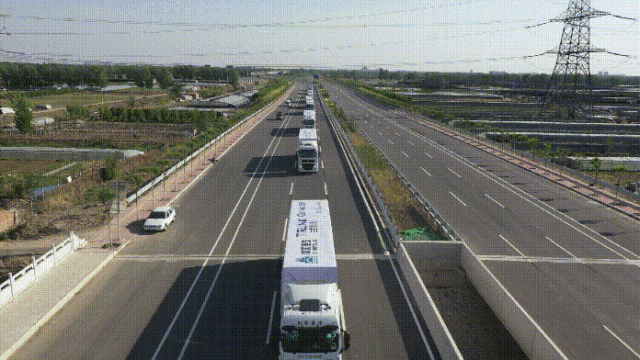 6.gif